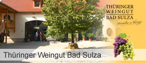 Thüringer Weingut Bad Sulza